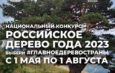 Национальный конкурс «Российское дерево года 2023»