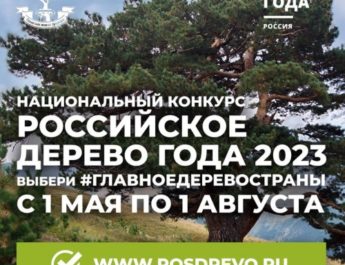 Национальный конкурс «Российское дерево года 2023»